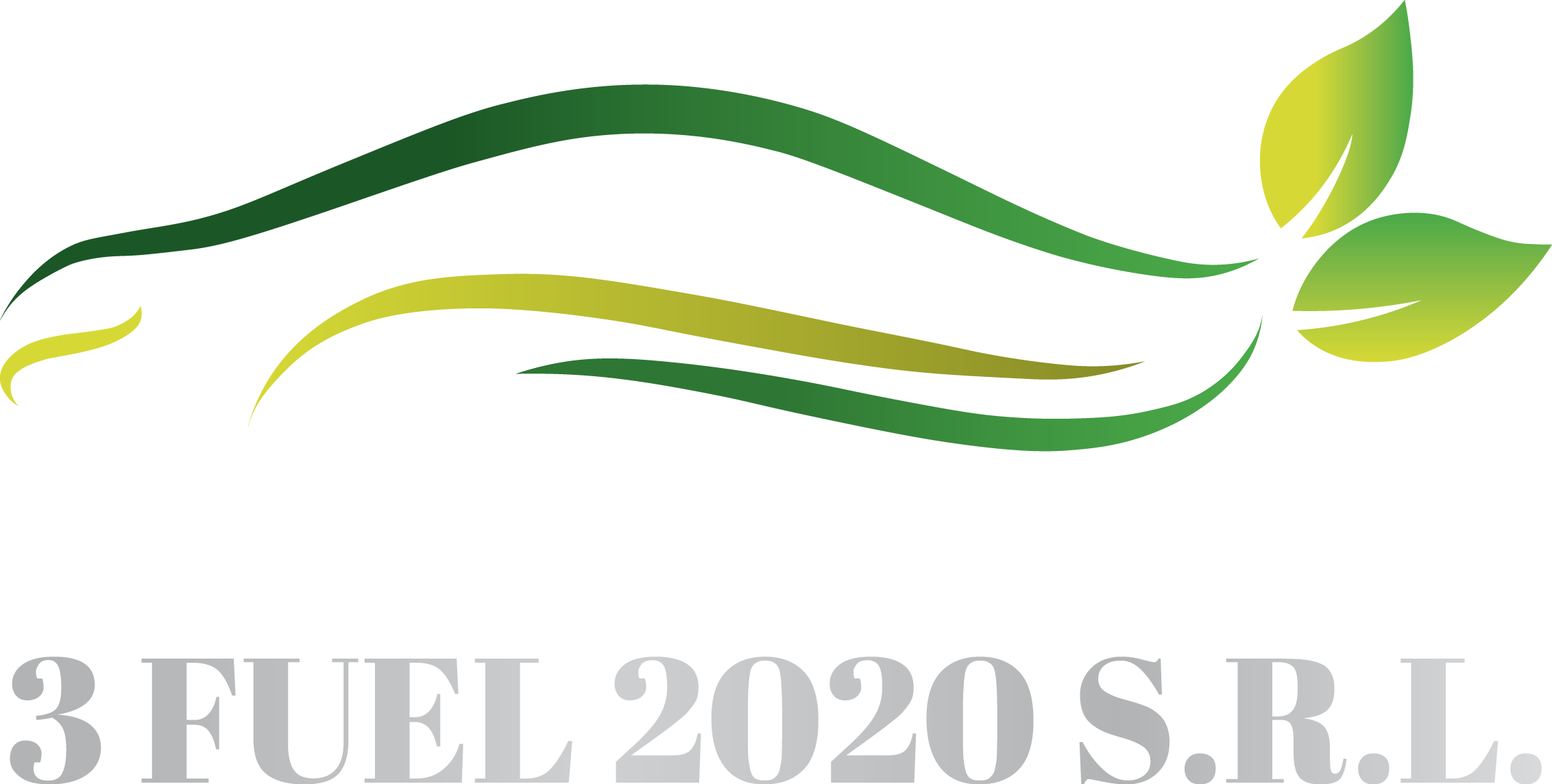3 FUEL 2020 S.R.L.
